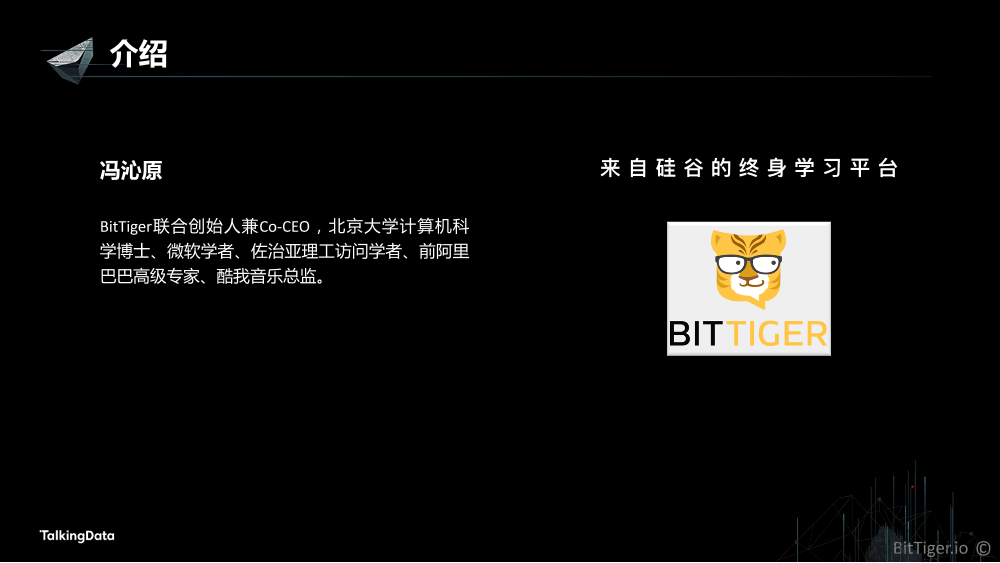 /【T112017-教育生态与人才培养分会场】数据科学、数据工程、数据分析 知识体系构建和培训实践-2